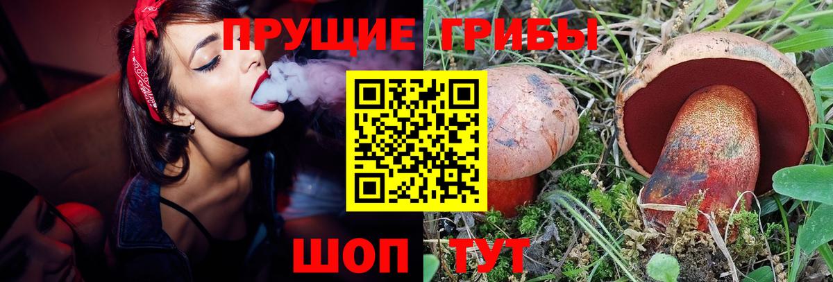 Люберцы  Псилоцибиновые грибы GOLDEN TEACHER  Вход с VPN 